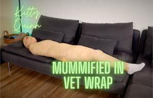 nyxonsbondagefiles.com - Kitty Quinn... Mummified In Vet Wrap thumbnail